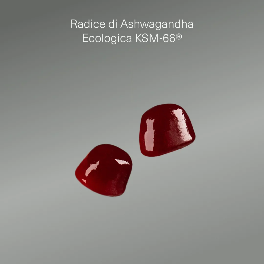 Immagine prodotto 3